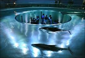 valence espagne aquarium - Image